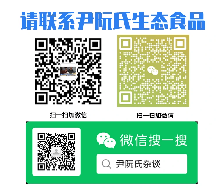 公众号宣传图.webp