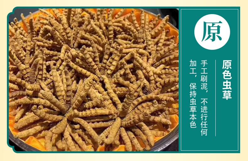 原色虫草：手工刷泥，不进行任何加工，保持虫草本色