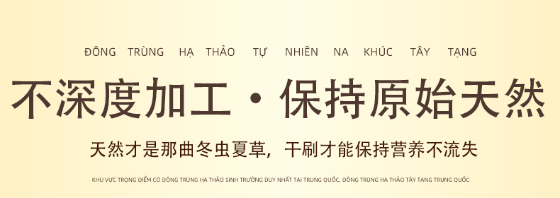 不深度加工，保持原始天然；天然才是那曲冬虫夏草，干刷才能保持营养不流失