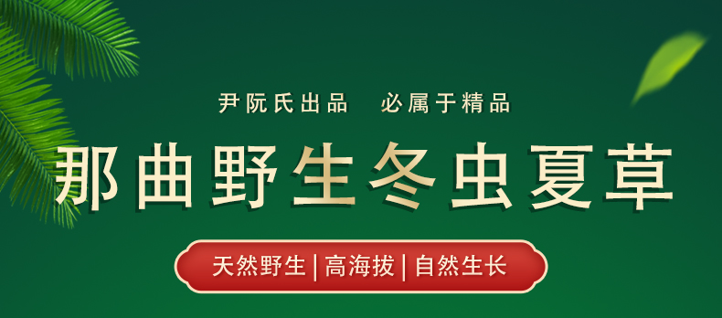 牧民直收 天然草甸 百分百野生