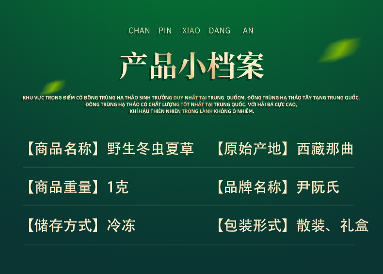 来自西藏的冬虫夏草