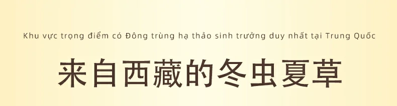 来自西藏的冬虫夏草