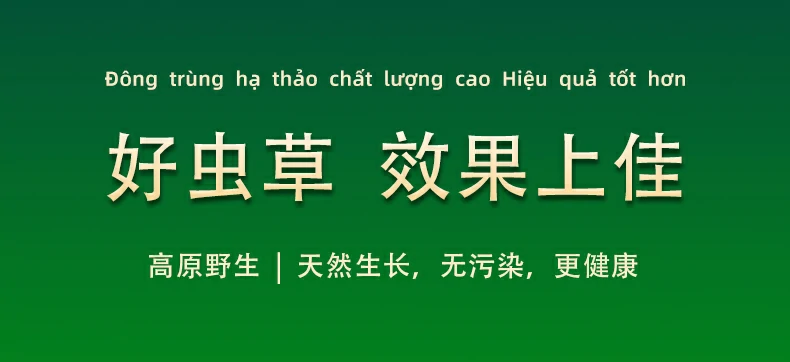 好虫草，效果上佳。高原野生，天然生长，无污染，更健康