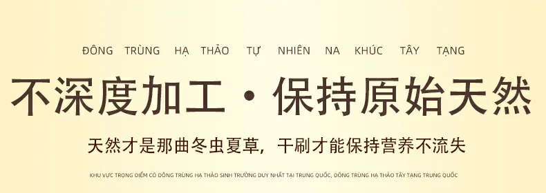不深度加工，保持原始天然；天然才是那曲冬虫夏草，干刷才能保持营养不流失